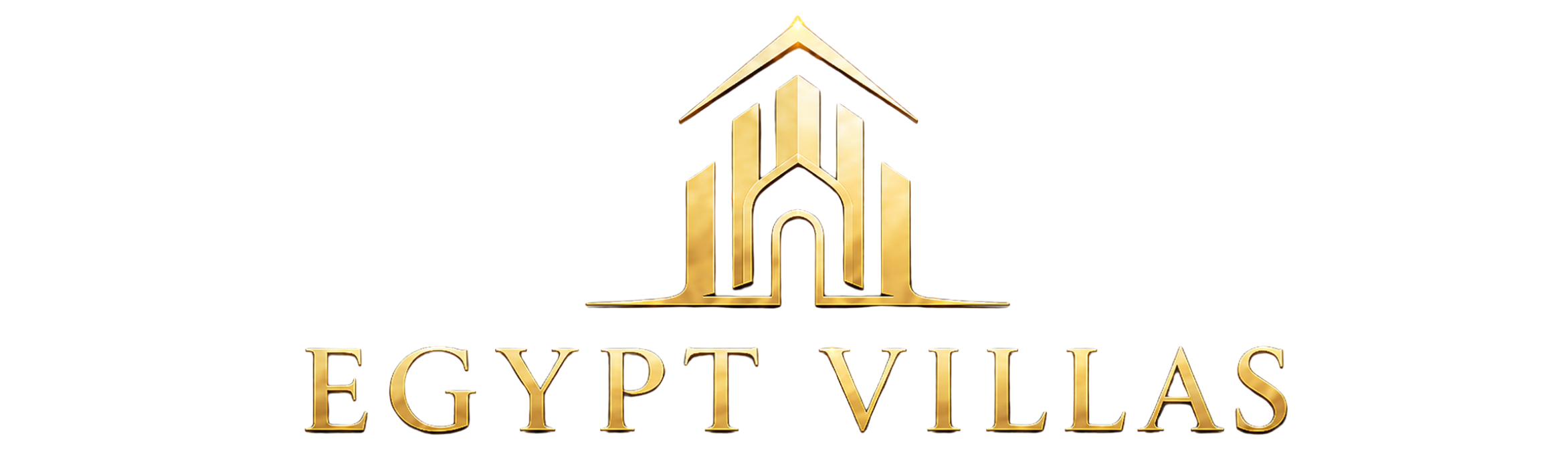 trans logo new